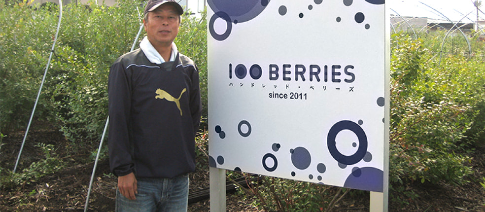 ハンドレッドベリーズ
