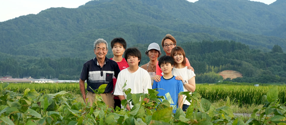 白山ちゃ茶農園