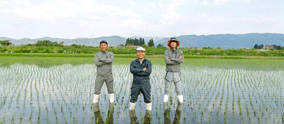 鈴木・ファーム