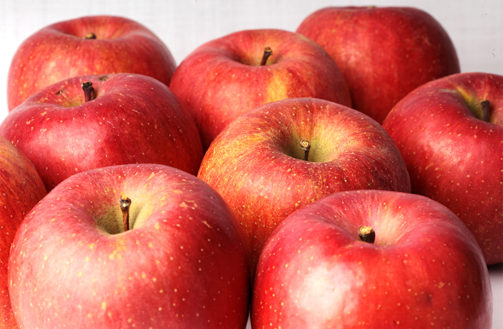 予約注文:山形県産 りんご(ふじ)