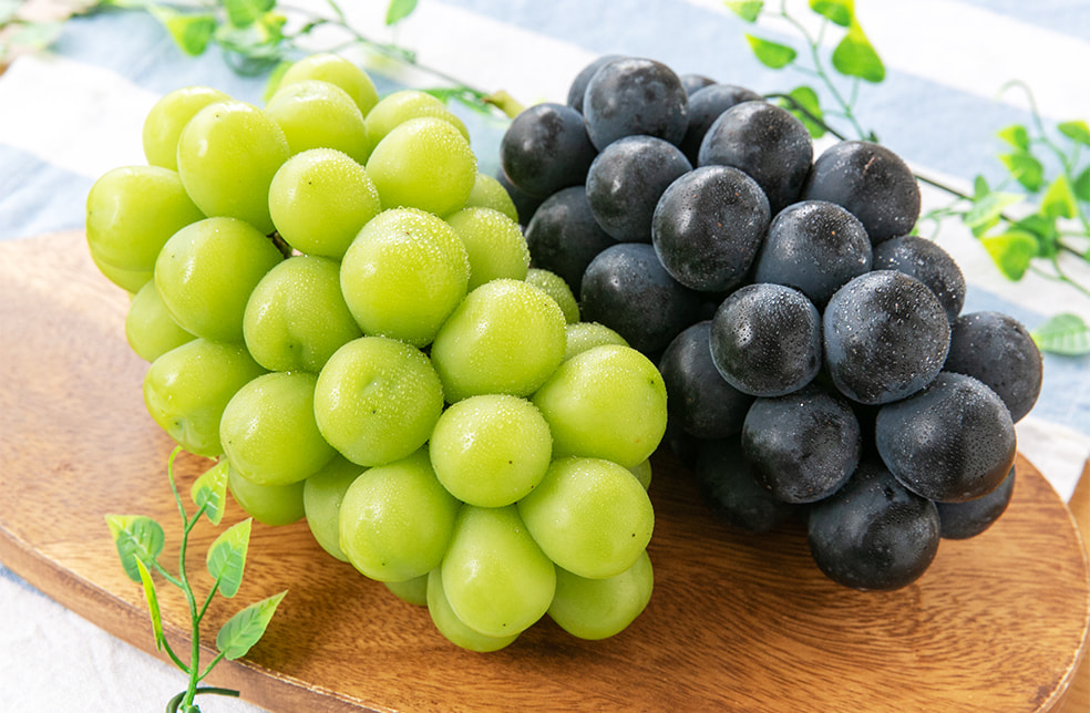 山形県産 シャインマスカット・ナガノパープル