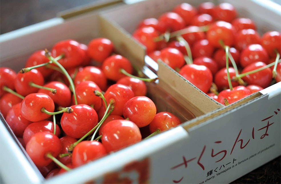 山形県産さくらんぼ