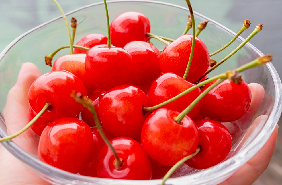 山形県産 さくらんぼ