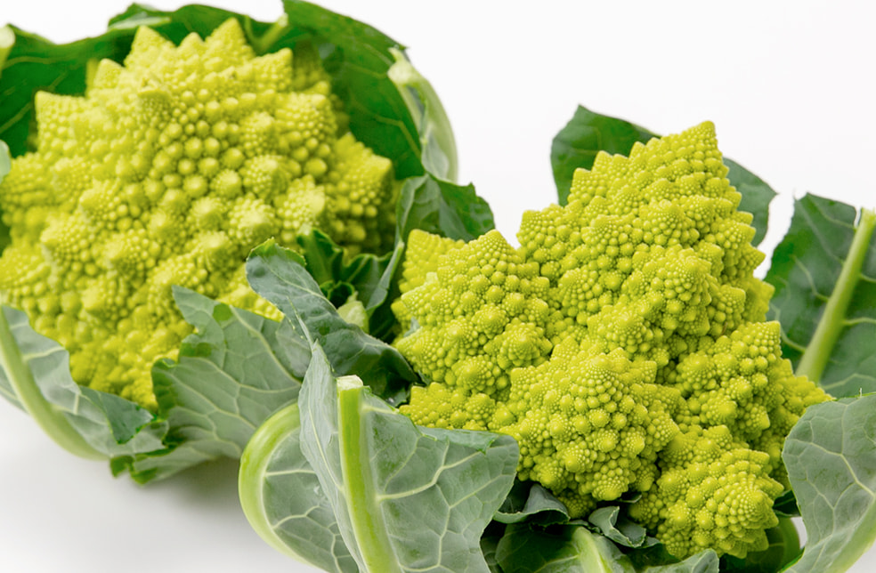 山形県産ロマネスコ