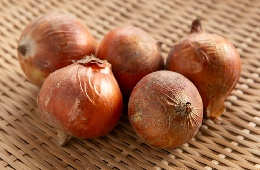 山形県産 玉ねぎ(有機JAS認証)