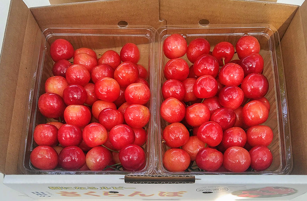 山形県産さくらんぼ