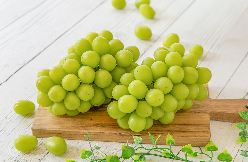 山形県産シャインマスカット(贈答用・家庭用)