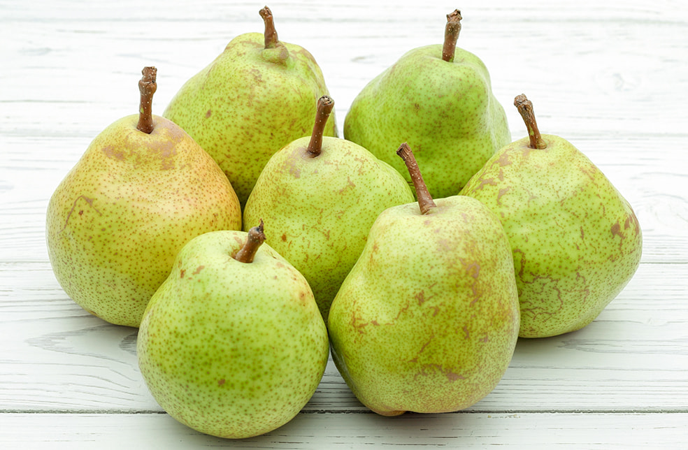 予約注文:山形県産 ラ・フランス(贈答用・家庭用)