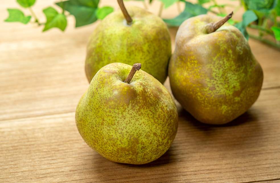 予約注文:山形県産 ラ・フランス(家庭用)