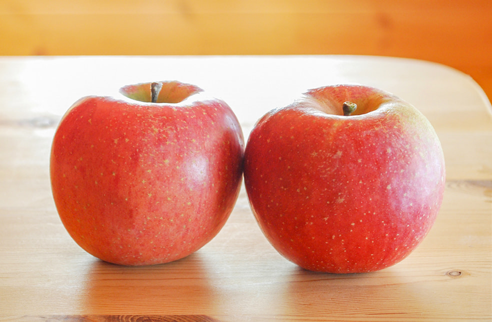 予約注文:山形県産りんご(家庭用)