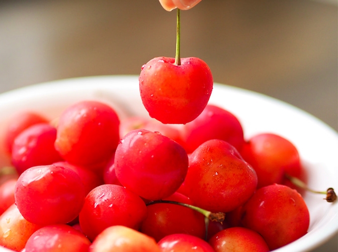 【第7位】山形県産さくらんぼ｜さがえグリーンパーク