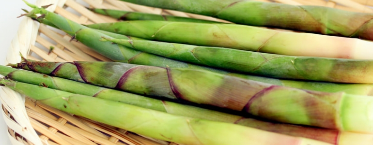 mーa様用　月山筍2箱分　蕨3キロセット　 2026年　無農薬野菜　山菜 mーa様用 月山筍2箱分 蕨3キロセット 2026年 無農薬野菜 山菜 - メルカリ