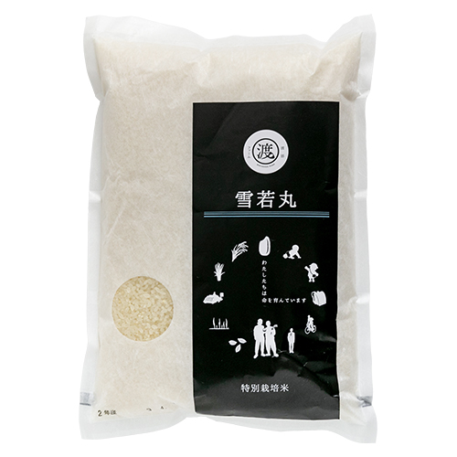 専用　雪若丸　２０ｋｇ×１令和三年産米　 山形県産　（特別栽培米＆大粒 めしだけでうまい。令和三年産新米 山形県産 雪若丸 20kg