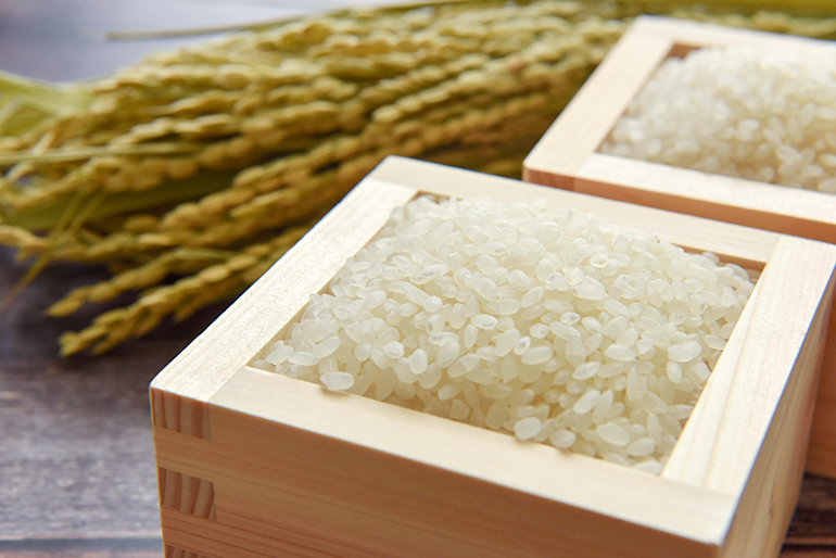 石垣さんが手がける「つや姫」は皇室献上米です