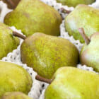 山形県産 ラ・フランス