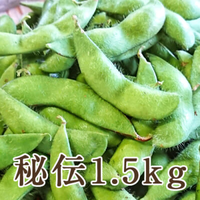 山形県産 枝豆「秘伝」1.5kg