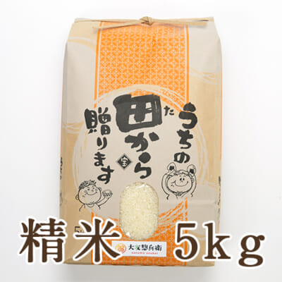 【定期購入】山形県 庄内産 ササニシキ 精米 5kg