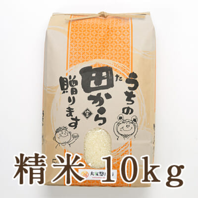 【定期購入】山形県 庄内産 ササニシキ 精米 10kg