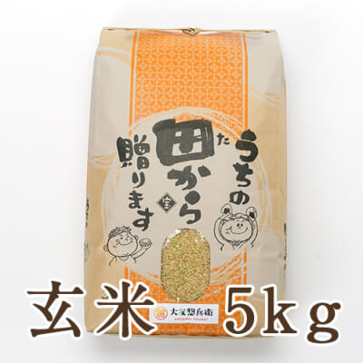 【定期購入】山形県 庄内産 ササニシキ 玄米 5kg