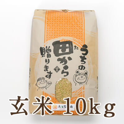 【定期購入】山形県 庄内産 ササニシキ 玄米 10kg