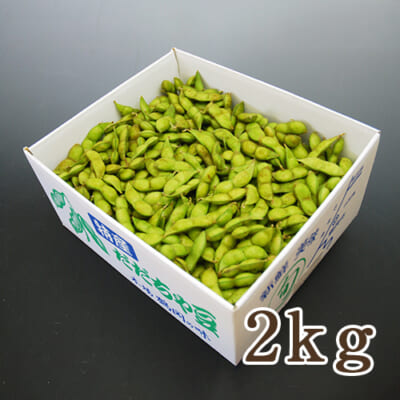 山形県 白山産 枝豆 だだちゃ豆 2kg