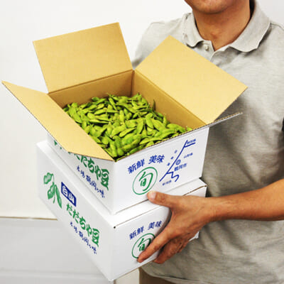 テレビ朝日「博士ちゃん」で、「神の枝豆」として紹介！