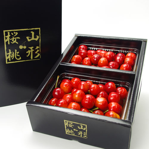 山形縣植物誌(結城嘉美著) / 小野田書房 / 古本、中古本、古書籍
