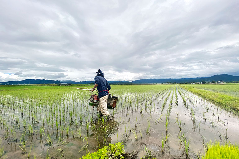 大自然に囲まれた、お米作りに最適な土壌