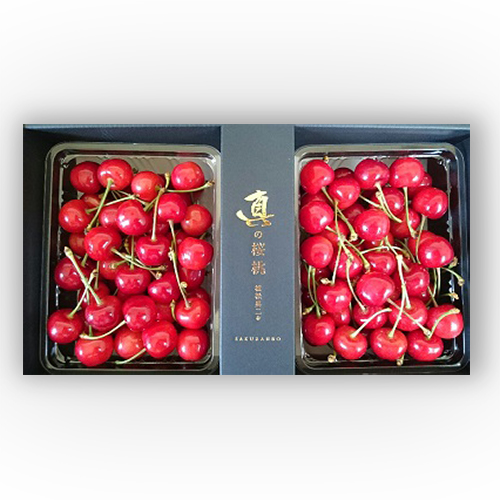 山形直送計画】山形県産さくらんぼ – 株式会社 松栗