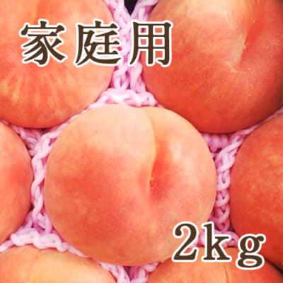 【家庭用】白桃 2kg