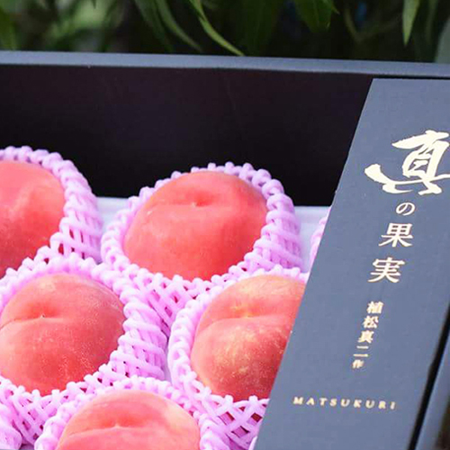 山形直送計画】山形県産 桃（贈答用・家庭用） – 株式会社 松栗