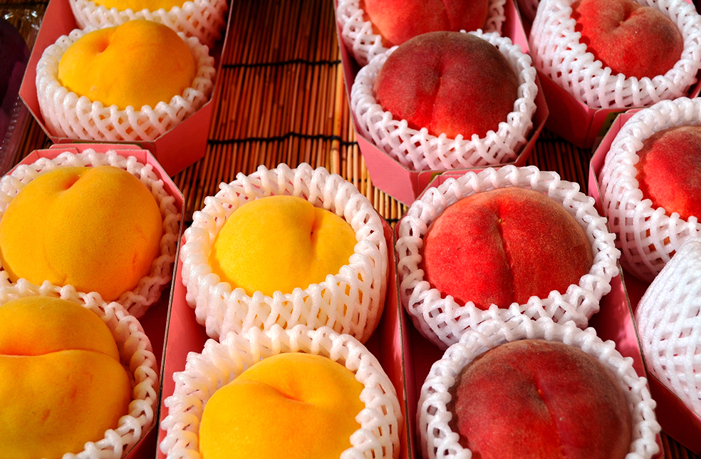 山形直送計画】山形県産 桃（贈答用・家庭用） – 株式会社 松栗