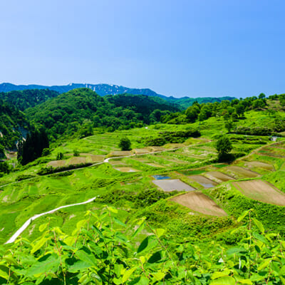 美しい棚田「日本の原風景」