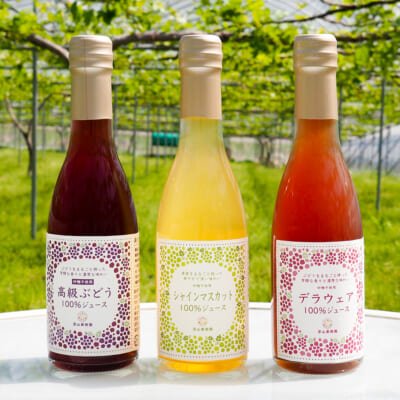 果汁100％ぶどうジュース 3種 計3本