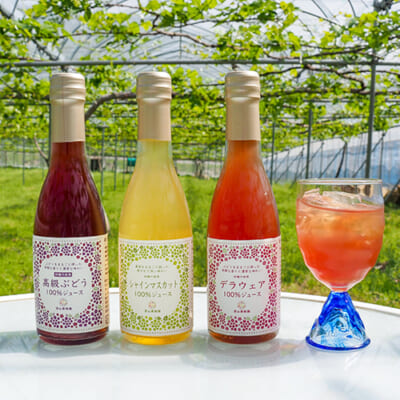 漆山果樹園の果汁100％ぶどうジュース