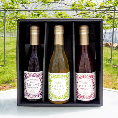 贅沢3種！濃厚ぶどうジュースを飲み比べ