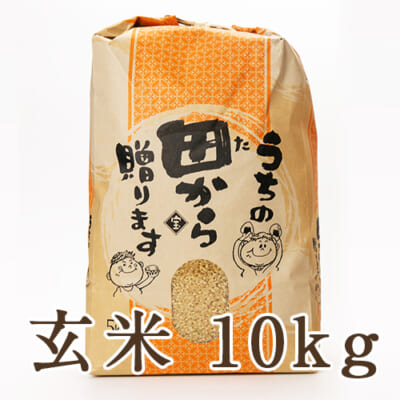 山形県産つや姫（特別栽培米）玄米10kg