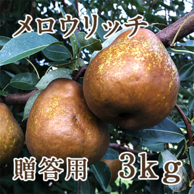 山形県産 洋梨 メロウリッチ 3kg