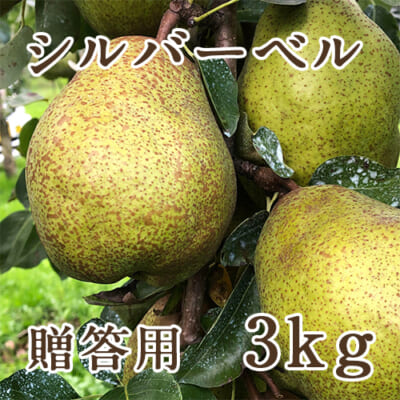 山形県産 洋梨 シルバーベル 3kg