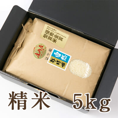 山形県産 自然栽培米 つや姫 精米5kg（化粧箱入）