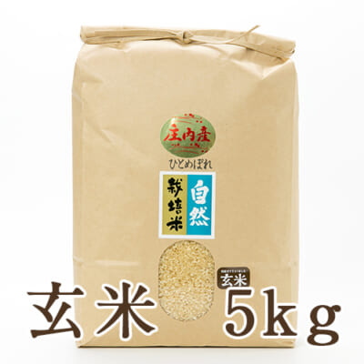山形県産 自然栽培米 ひとめぼれ 玄米5kg