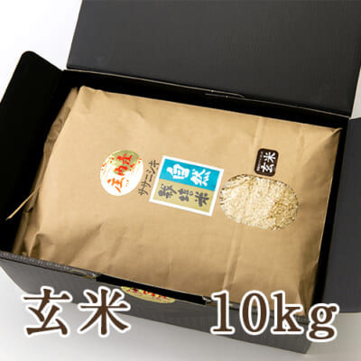 山形県産 自然栽培米 ササニシキ 玄米10kg（化粧箱入）