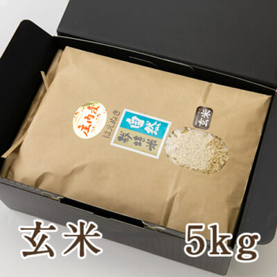 山形県産 自然栽培米 はえぬき 玄米5kg（化粧箱入）