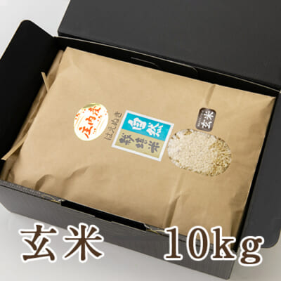 山形県産 自然栽培米 はえぬき 玄米10kg（化粧箱入）