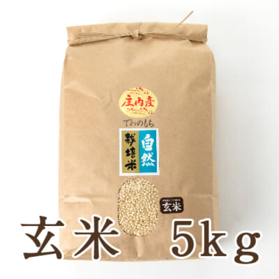 山形県産 自然栽培米 でわのもち（もち米）玄米5kg