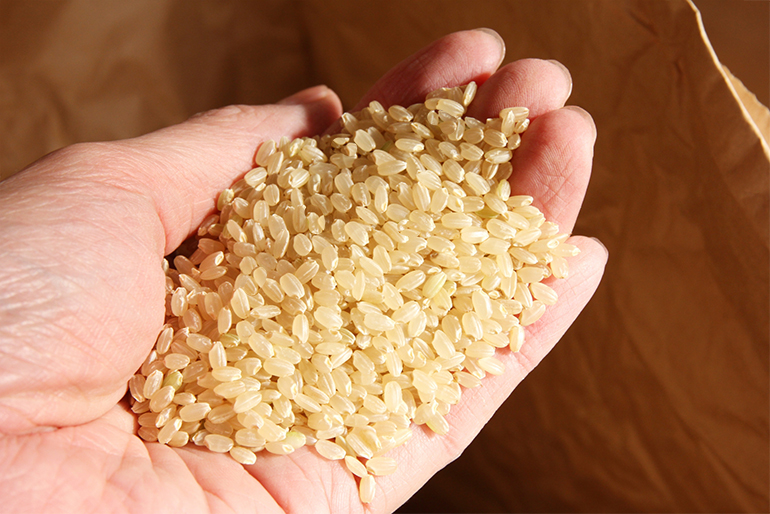 栄養価の高い玄米もおすすめ