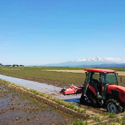 山形県随一の米どころ「庄内平野」