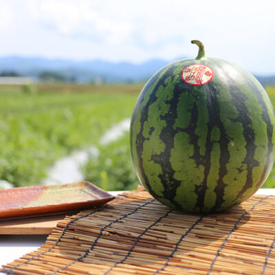 お中元など、夏の贈り物にぴったりです