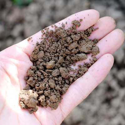 保水力に優れた粘土質な土壌