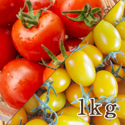山形県産 トマト 2種詰め合わせ 1kg